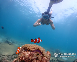 Underwater Odyssey snorkeling tour from Pattaya Thailand photo 40