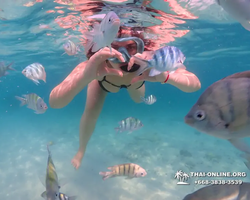 Underwater Odyssey snorkeling tour from Pattaya Thailand photo 49