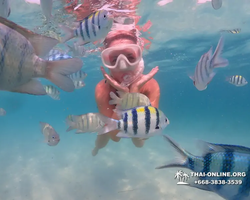 Underwater Odyssey snorkeling tour from Pattaya Thailand photo 98