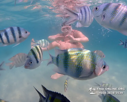 Underwater Odyssey snorkeling tour from Pattaya Thailand photo 66