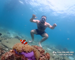 Underwater Odyssey snorkeling tour from Pattaya Thailand photo 54