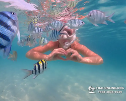 Pattaya snorkeling tour Underwater Odyssey in Thailand - photo 14
