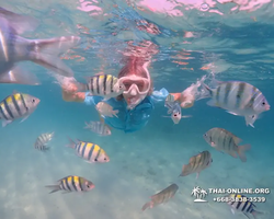 Underwater Odyssey snorkeling tour from Pattaya Thailand photo 58