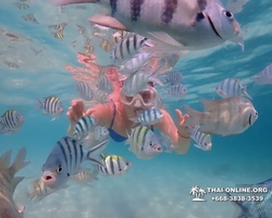 Underwater Odyssey snorkeling tour from Pattaya Thailand photo 33