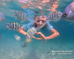 Underwater Odyssey snorkeling tour from Pattaya Thailand photo 72