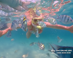 Underwater Odyssey snorkeling tour from Pattaya Thailand photo 88