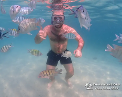 Pattaya snorkeling tour Underwater Odyssey in Thailand - photo 145
