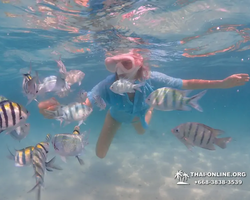 Underwater Odyssey snorkeling tour from Pattaya Thailand photo 55