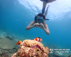 Underwater Odyssey snorkeling tour from Pattaya Thailand photo 60