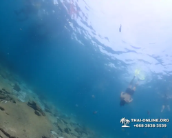 Pattaya snorkeling tour Underwater Odyssey in Thailand - photo 168