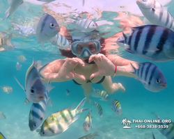 Pattaya snorkeling tour Underwater Odyssey in Thailand - photo 19