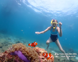 Underwater Odyssey snorkeling tour from Pattaya Thailand photo 35