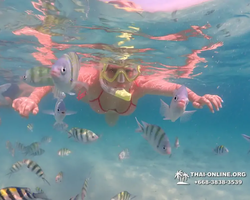 Underwater Odyssey snorkeling tour from Pattaya Thailand photo 84