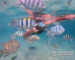 Underwater Odyssey snorkeling tour from Pattaya Thailand photo 61