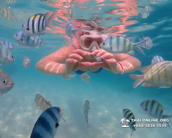 Underwater Odyssey snorkeling tour from Pattaya Thailand photo 48