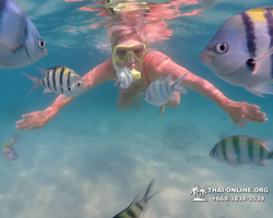 Pattaya snorkeling tour Underwater Odyssey in Thailand - photo 156