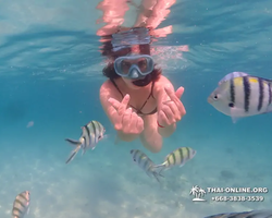 Pattaya snorkeling tour Underwater Odyssey in Thailand - photo 155