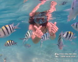 Underwater Odyssey snorkeling tour from Pattaya Thailand photo 97