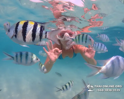 Underwater Odyssey snorkeling tour from Pattaya Thailand photo 56