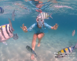 Underwater Odyssey snorkeling tour from Pattaya Thailand photo 42