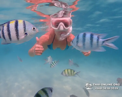Pattaya snorkeling tour Underwater Odyssey in Thailand - photo 152