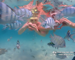Underwater Odyssey snorkeling tour from Pattaya Thailand photo 4