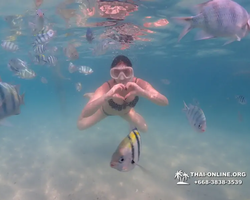 Pattaya snorkeling tour Underwater Odyssey in Thailand - photo 166