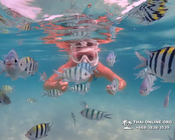 Pattaya snorkeling tour Underwater Odyssey in Thailand - photo 23