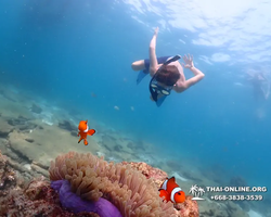 Underwater Odyssey snorkeling tour from Pattaya Thailand photo 93