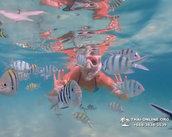 Underwater Odyssey snorkeling tour from Pattaya Thailand photo 77