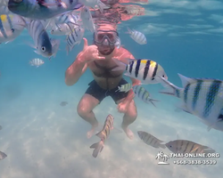 Pattaya snorkeling tour Underwater Odyssey in Thailand - photo 134