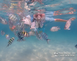 Underwater Odyssey snorkeling tour from Pattaya Thailand photo 90