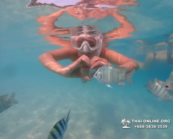 Pattaya snorkeling tour Underwater Odyssey in Thailand - photo 164