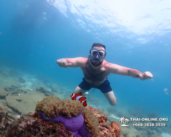 Underwater Odyssey snorkeling tour from Pattaya Thailand photo 94