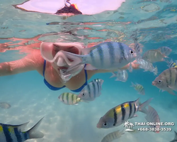 Underwater Odyssey snorkeling tour from Pattaya Thailand photo 9