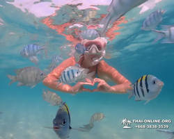 Underwater Odyssey snorkeling tour from Pattaya Thailand photo 96