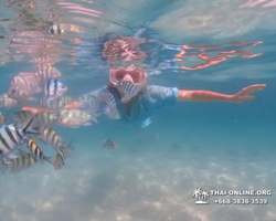 Pattaya snorkeling tour Underwater Odyssey in Thailand - photo 124