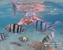 Underwater Odyssey snorkeling tour from Pattaya Thailand photo 71