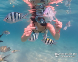 Pattaya snorkeling tour Underwater Odyssey in Thailand - photo 123