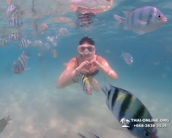 Pattaya snorkeling tour Underwater Odyssey in Thailand - photo 165
