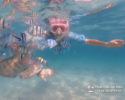 Pattaya snorkeling tour Underwater Odyssey in Thailand - photo 130