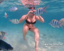 Pattaya snorkeling tour Underwater Odyssey in Thailand - photo 111