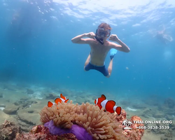 Underwater Odyssey snorkeling tour from Pattaya Thailand photo 44
