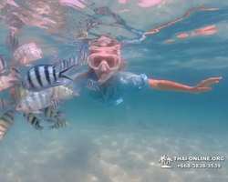 Pattaya snorkeling tour Underwater Odyssey in Thailand - photo 129
