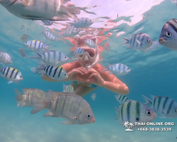 Underwater Odyssey snorkeling tour from Pattaya Thailand photo 83