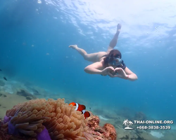 Pattaya snorkeling tour Underwater Odyssey in Thailand - photo 153