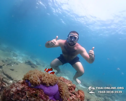 Underwater Odyssey snorkeling tour from Pattaya Thailand photo 73