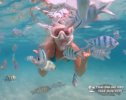 Underwater Odyssey snorkeling tour from Pattaya Thailand photo 38