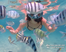 Underwater Odyssey snorkeling tour from Pattaya Thailand photo 37