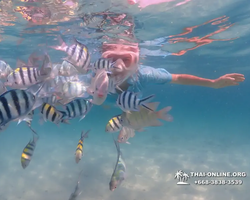 Underwater Odyssey snorkeling tour from Pattaya Thailand photo 79